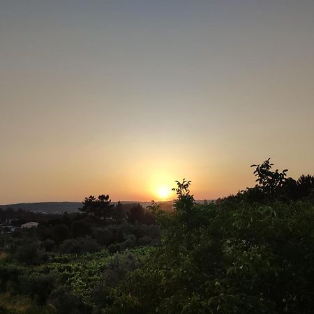 R3 - Guesthouse Travessa Da Arieira Aguda (Leiria) Exteriör bild